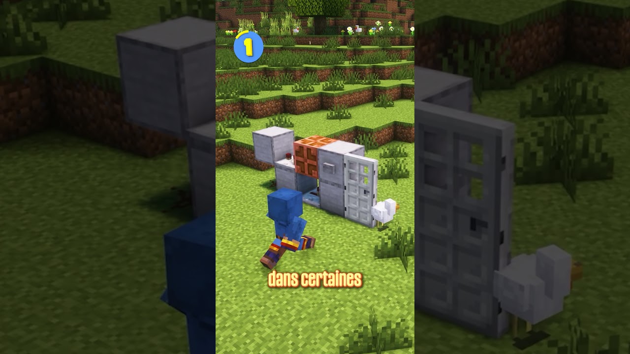 Connais-tu ces blocs dans Minecraft ? 🤔