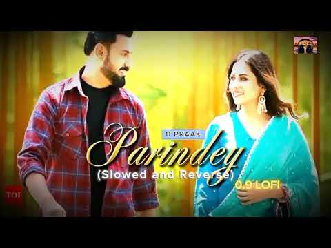 Parindey - B Praak [ slowed and reverse ] |Gippy Grewal, Sargun Mehta & Roopi Gill |Avvy Sra |