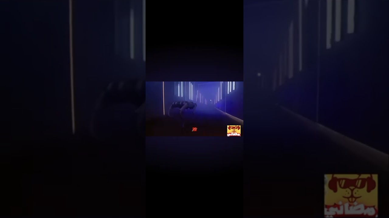 إعلان إيلون مصر مع رامز الرئيسي: مفاجأة لا تفوت! 🚀