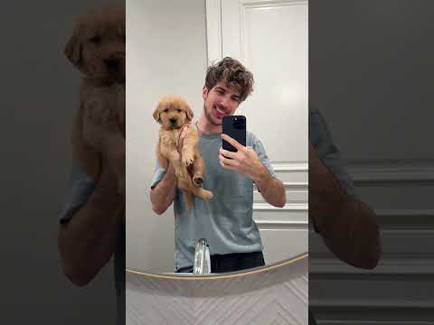 Watch My Puppy Become a Big Dog!