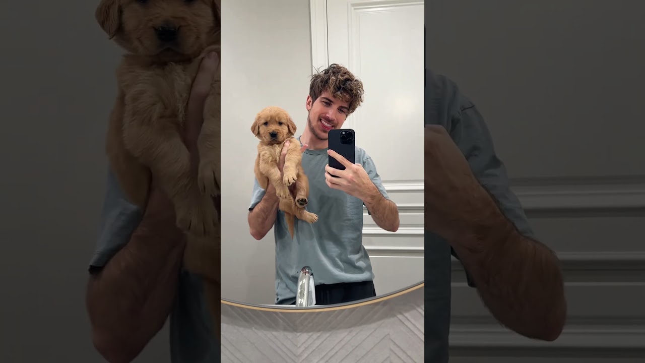 Watch My Puppy Grow Into a Big Dog in No Time! 🐶