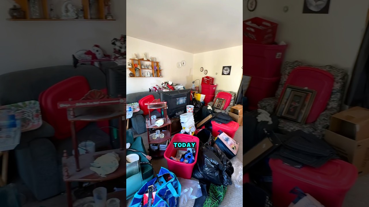 Complete Apartment Makeover ✨