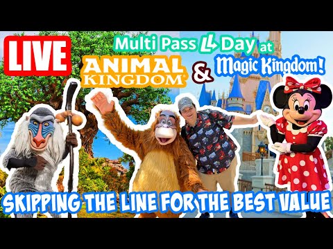 Live: Morning at Disney's Animal & Magic Kingdom πΎ
