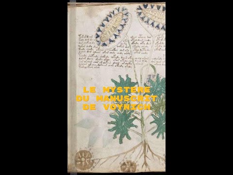 Le mystère du manuscrit de Voynich #science #cryptography #énigmes #histoire #codex
