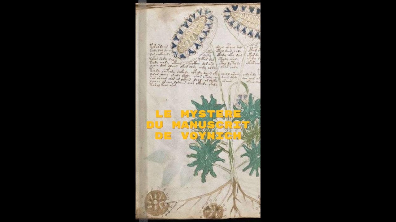Découverte du mystérieux manuscrit de Voynich : un énigme cryptographique fascinante 📜