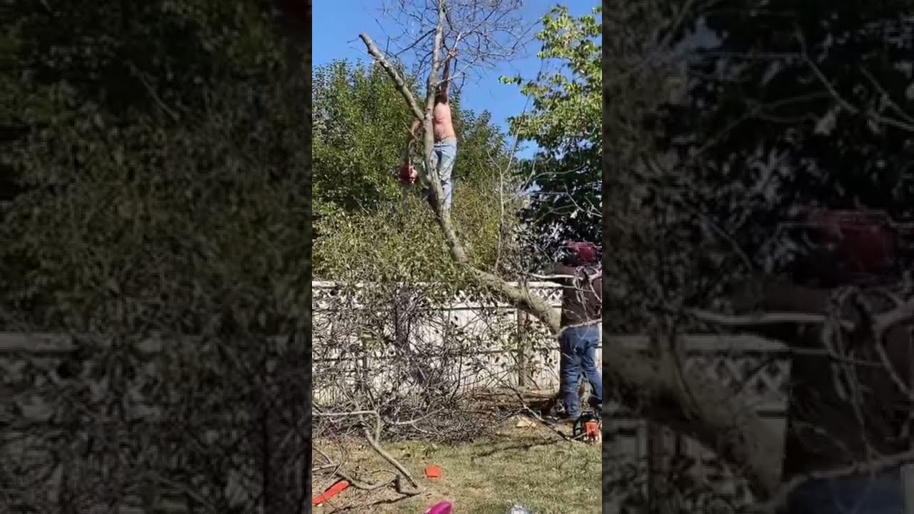 Dangerous Tree Cutting Fails You Must See! 🚧
