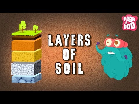 Soil Layers Explained | Dr. Binocs for Kids 🌱