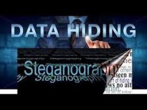 What is steganography [Hindi] . How to hide data in any image file | sumlearn