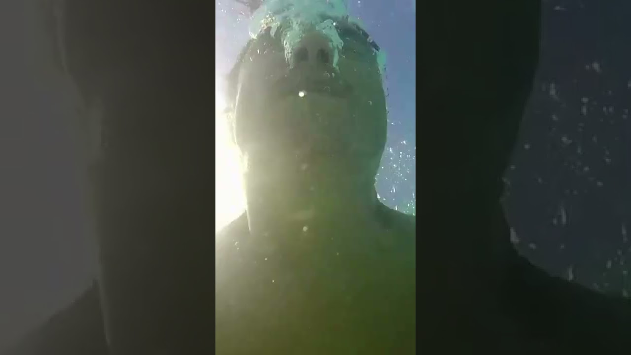 Dutch Authorities Arrest Developer Over Tornado Cash Ties 🚨