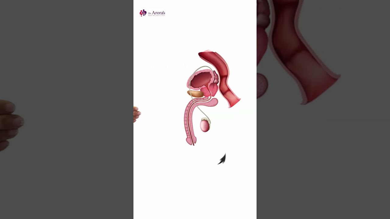 The 7 Top 7 Male Pleasure Points Revealed 🔥