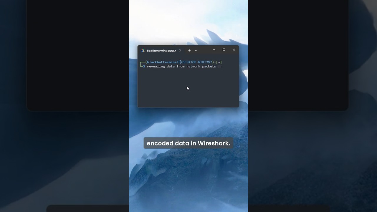 Wireshark Packet Capture File CTF  #cybersecurity #coding #hacker #wireshark