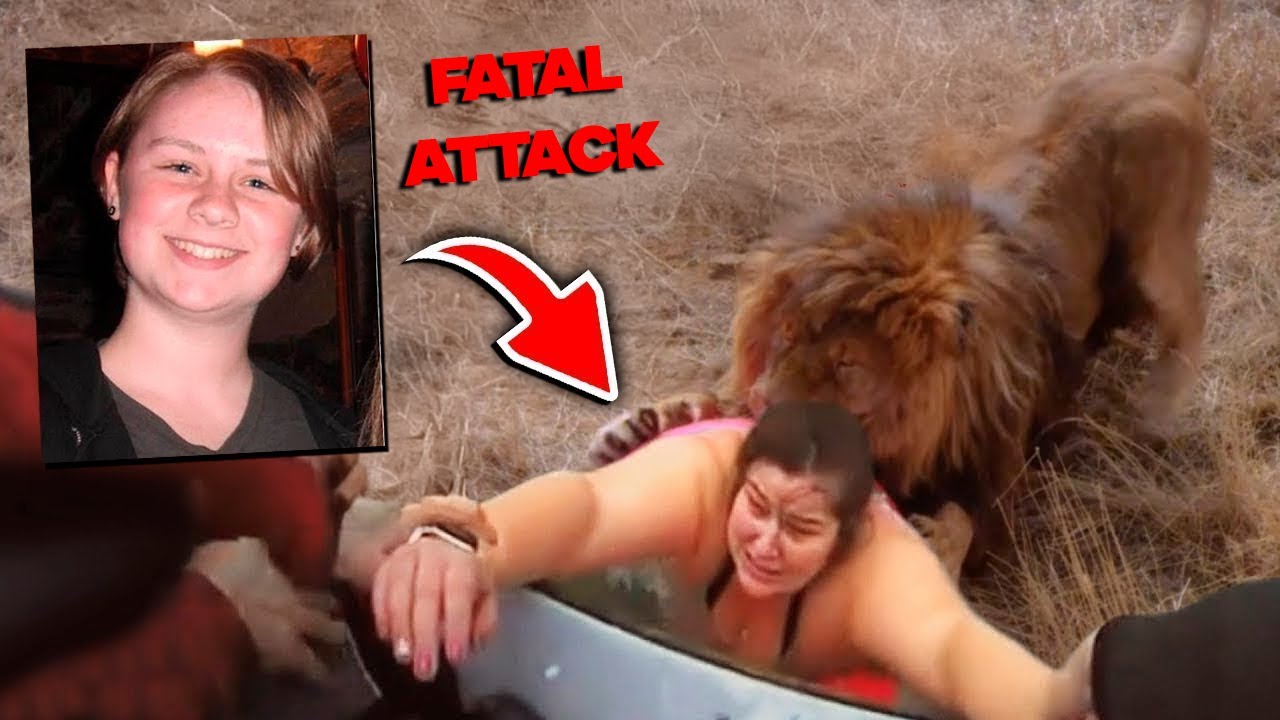 16 Animal Attacks on Humans Caught on Camera