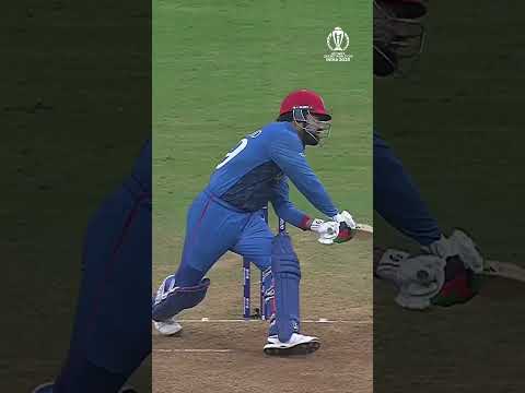 Rashid Khan can do it all 👏🏻 #cricket #cwc23 #afghanistan