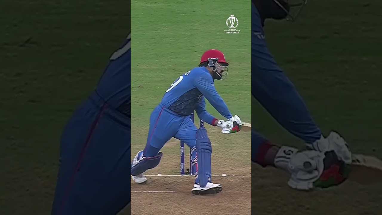 Rashid Khan Excels in All Aspects ๐๐ป