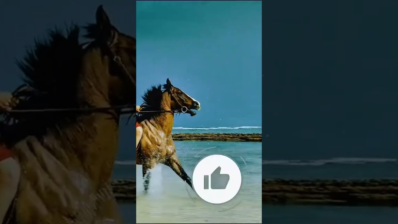 Experience Ultimate Relaxation with Stunning Cinematic Nature Scenes ๐ฟ