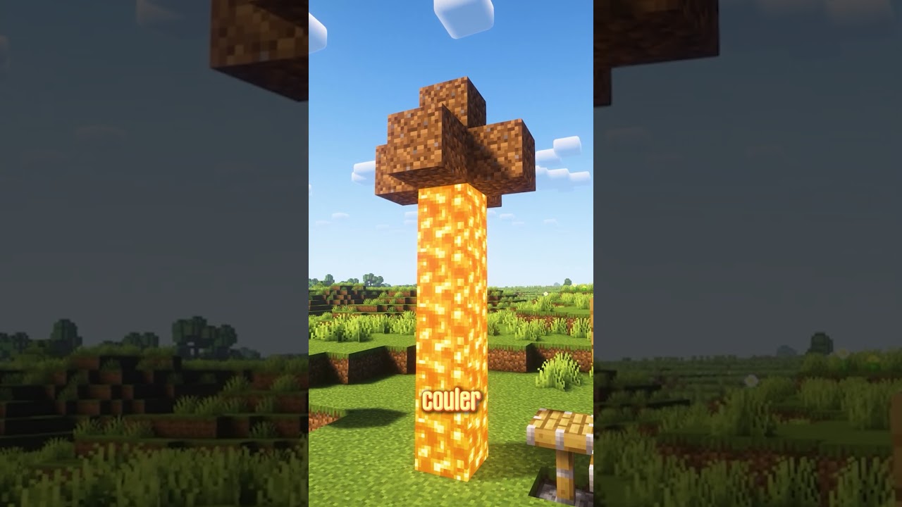 Une technique SECRÈTE sur Minecraft 😱