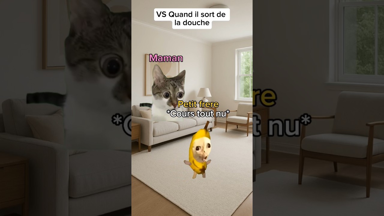 POV : Quand ton petit frère fait des bêtises #humour #drole #catmemes #pov #sketch