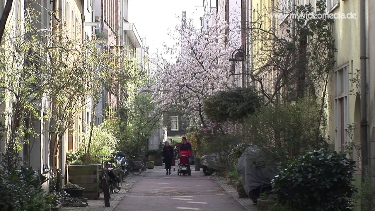 Amsterdam City Walk | Netherlands HD Tour 🚶‍♂️