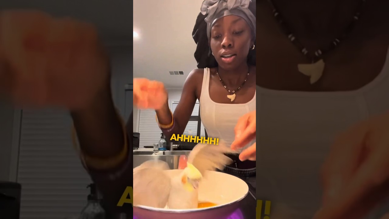 Girl Almost Cooks Pet Bird 🐦😂
