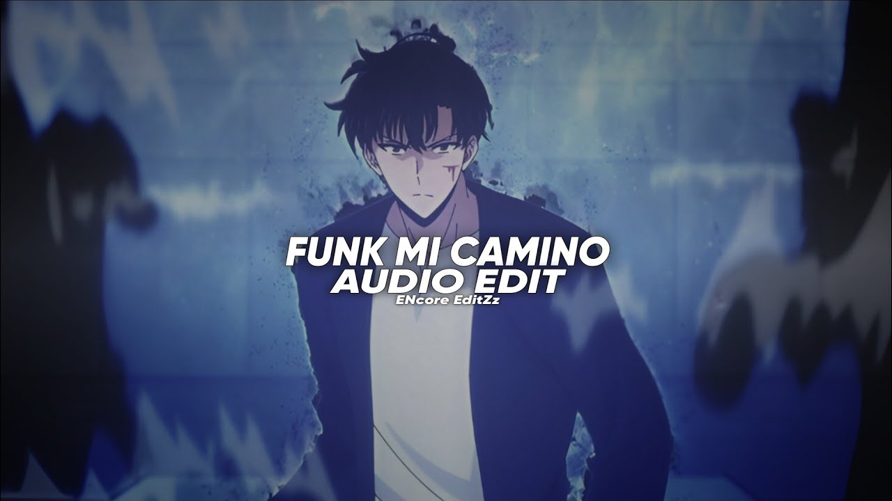 FUNK MI CAMINO - Sayfalse [Edit audio]