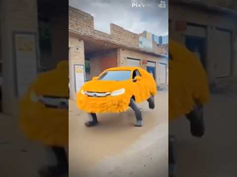 Viral beautiful wedding car Decoration on road dancing🔥😱💥#bridal#cardecoration#ytshorts#viral#funny
