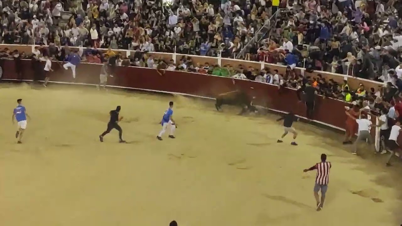 Encierro Nocturno en San Sebastián de los Reyes 2023 🐂