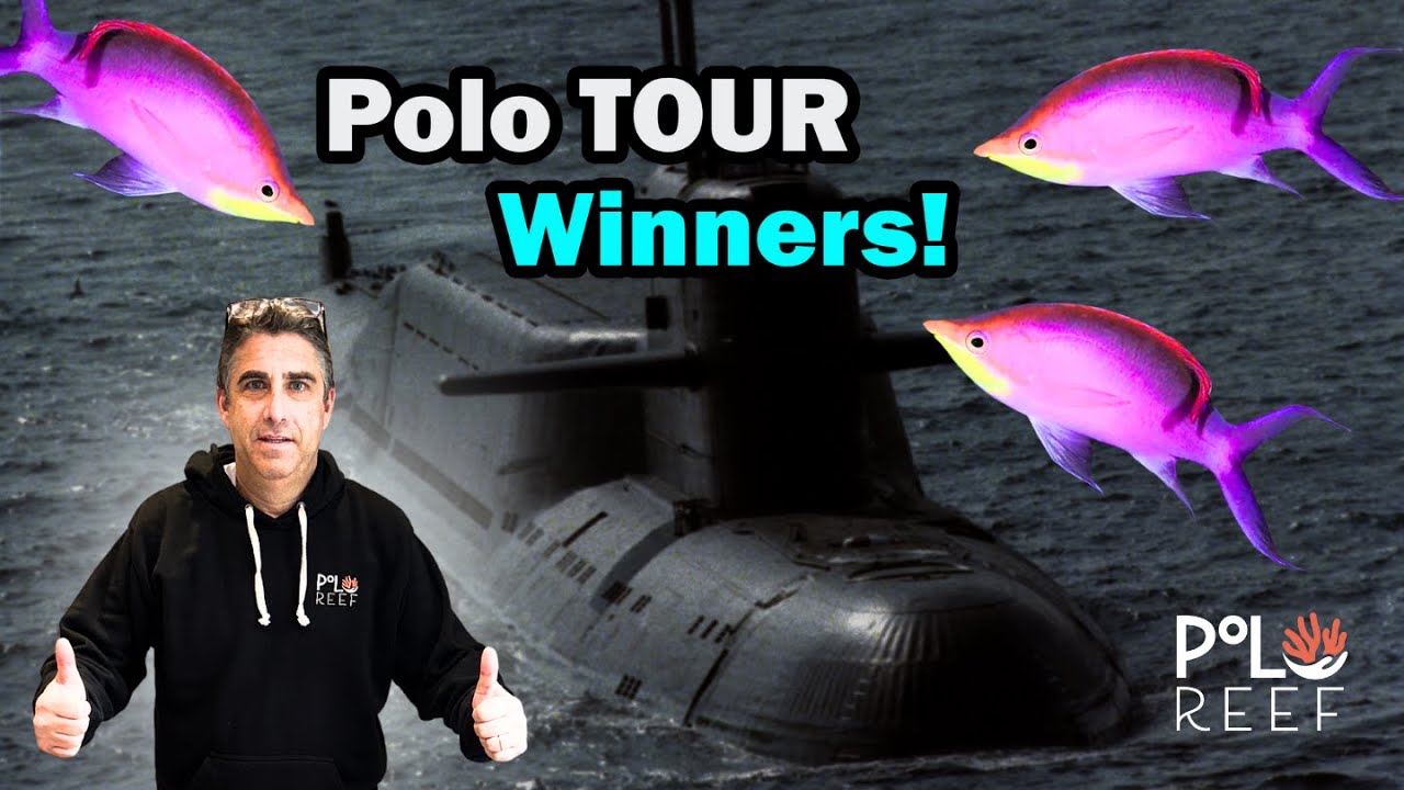 They WON a trip to visit Polo Reef's 17,000 gallon reef aquarium!