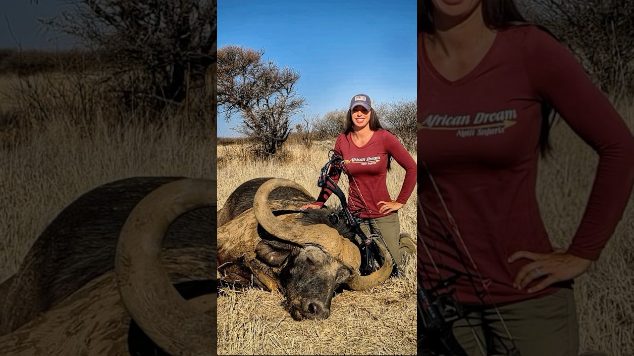 Exciting Cape Buffalo Bow Hunt 🦬