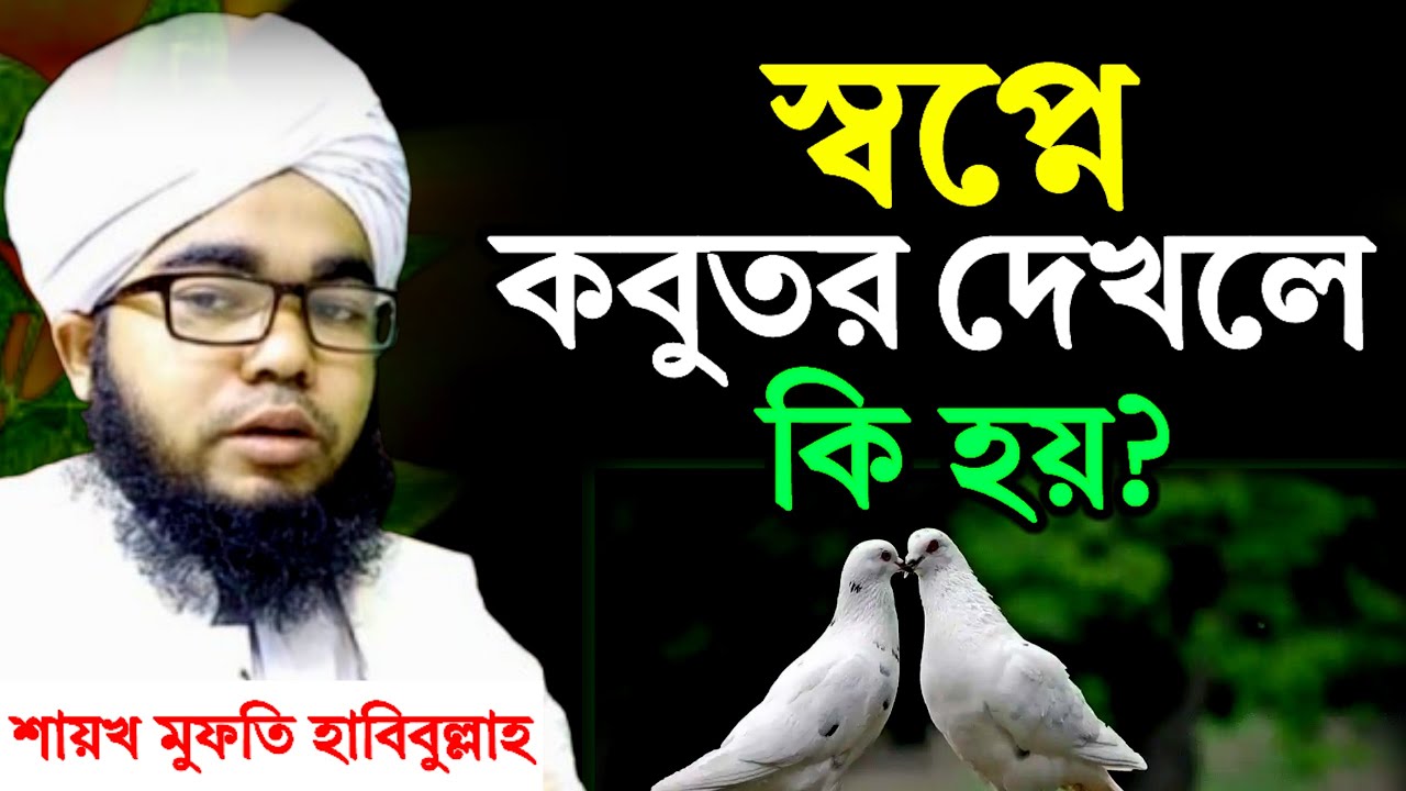 স্বপ্নে কবুতর দেখলে কি হয়? বিস্তারিত ব্যাখ্যা | sopne kobutor dekhle ki hoy