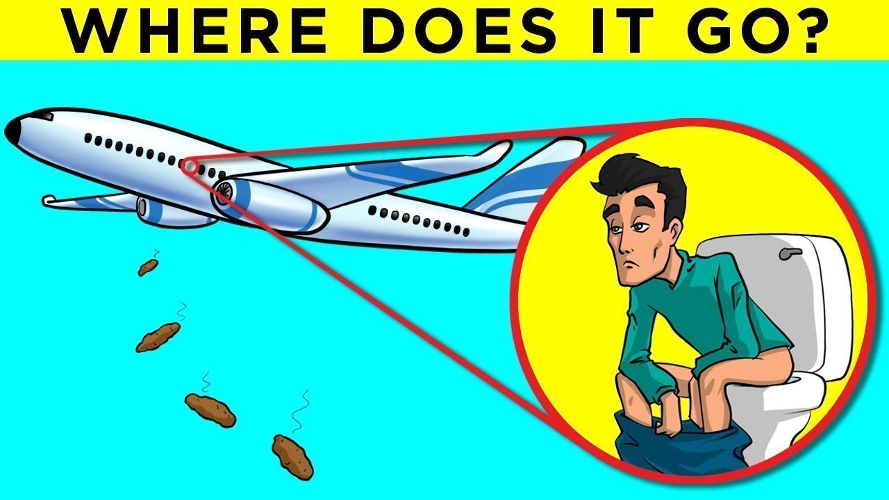 Mind-Blowing Facts You're Too Lazy to Search For 🤔