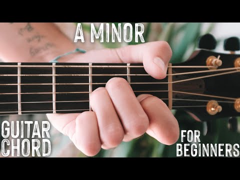 How To Play "A Minor" Guitar Chord // Beginner Guitar Chord Series #2 #Shorts
