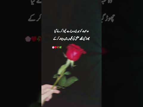 Wow ye poetry ♥️🥀 #shayri #urdu #love #poetry #urdupoetry