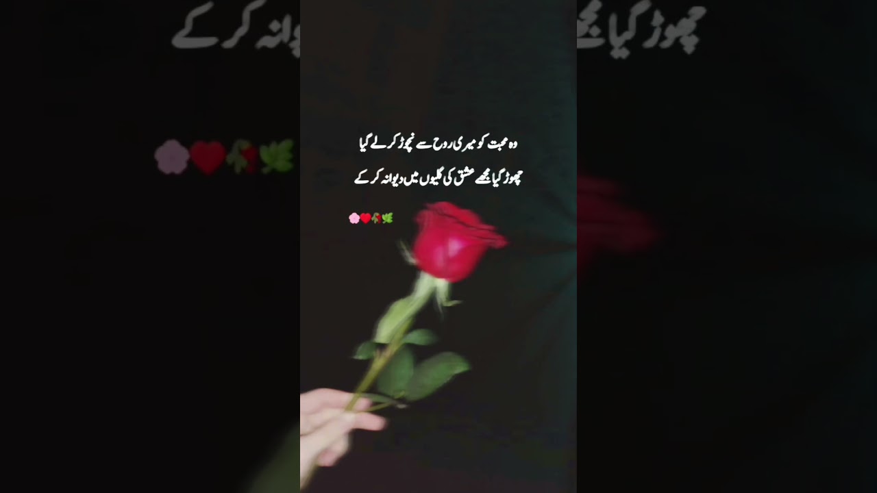 Beautiful Urdu Love Poetry ❤️ | Heartfelt Shayari & Sad Poems