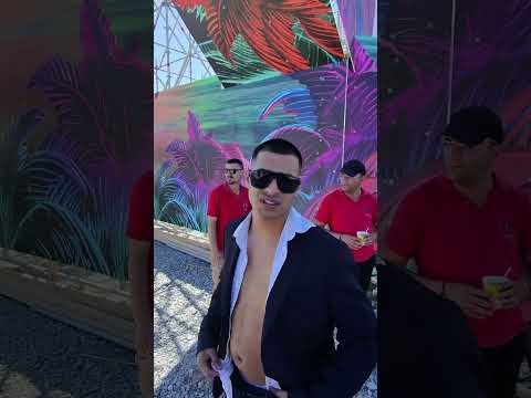 De ce a primit amenda Gheboasa #gheboasa #amenda #beachplease #lucianpopa