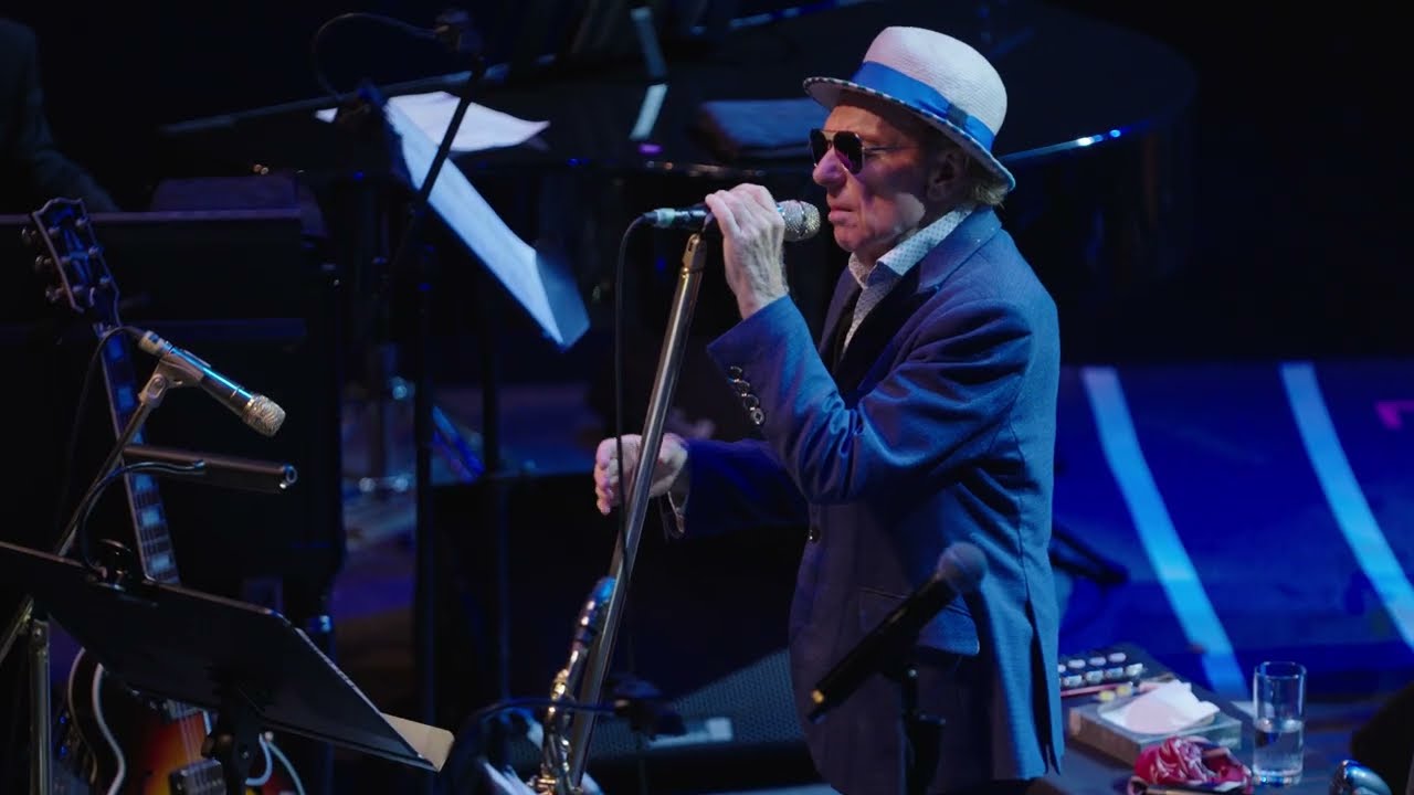 Van Morrison - Back to Love Songs ๐ถ