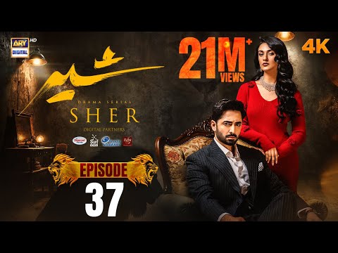 Sher Episode 37 | Danish Taimoor | Sarah Khan | 25 Sep 2025 [ENG SUB] ARY Digital Drama
