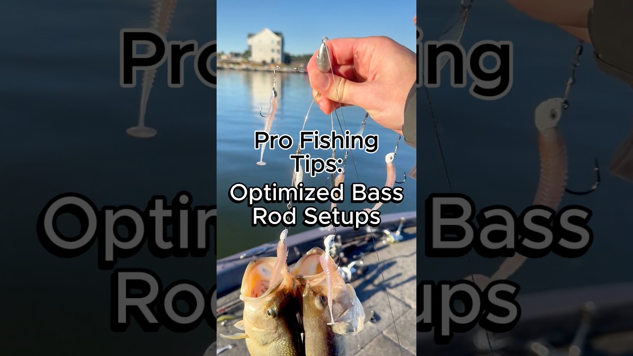 Top Bass Fishing Rod, Reel & Line Setup π£