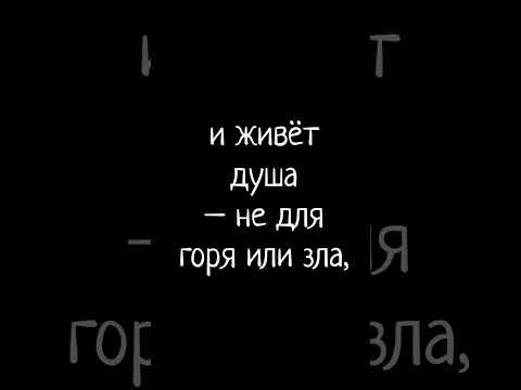 #любовнаялирика #счастье #мирдуши #глаза #психология #тепло #стихидиденко #поэзия #проза #зеркало