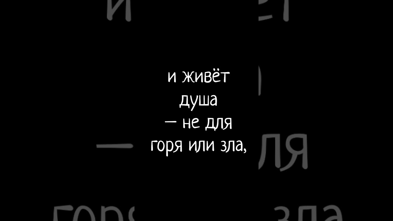 Любовная лирика и счастье 💖