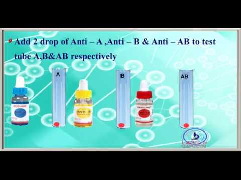 TUBE METHOD/ABO GROUPING METHOD /PART 3 / ABO GROUP SYSTEM/ PART 7