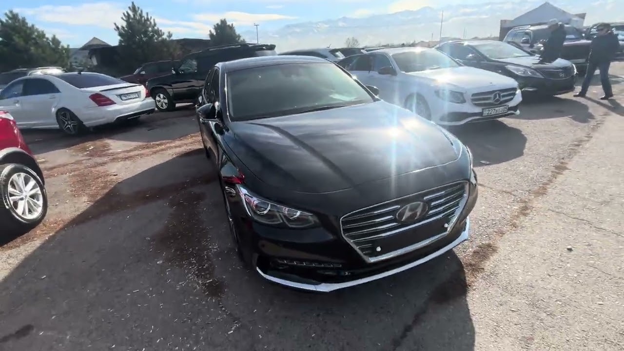 Толық шолу: Қаскелең Барыс базарындағы корей брендтері мен лизинг мүмкіндіктері 🇰🇷