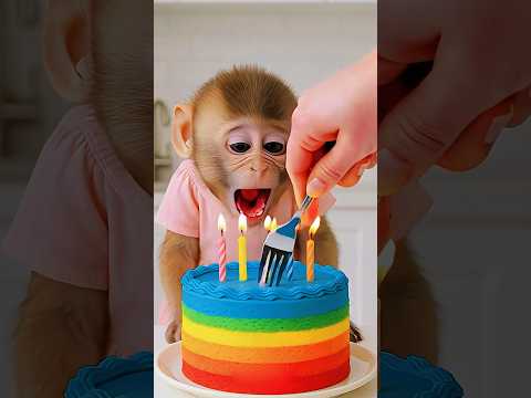 KAGET MONYET NYA MARAH π±ππ€£ #shorts #funny #comedy