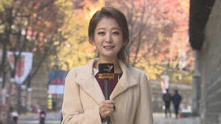 [날씨 소식] 수능 이틀 전 다시 찬바람…모레 누그러질 전망 🌬️