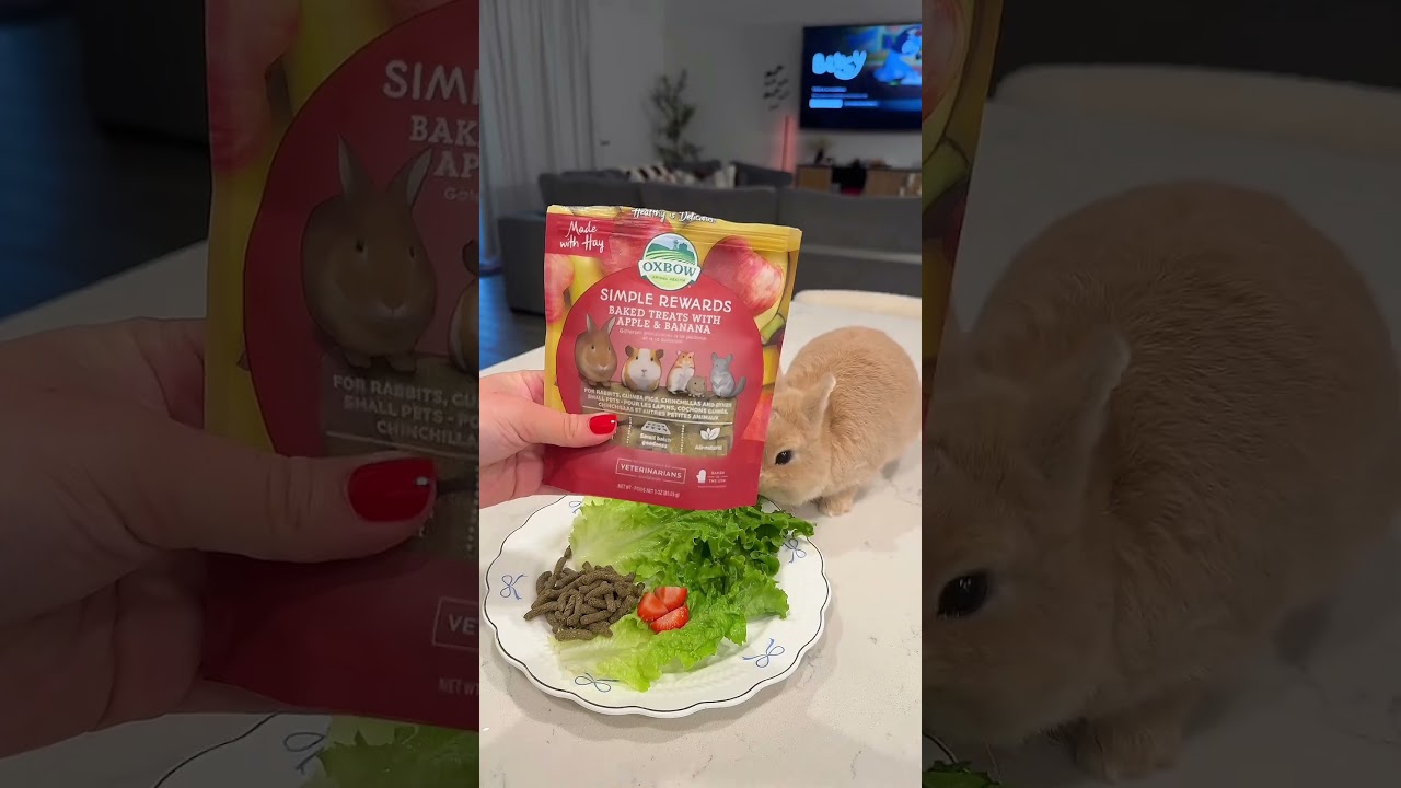 Relaxing Bunny Feeding Routine π | Soothing ASMR Sounds