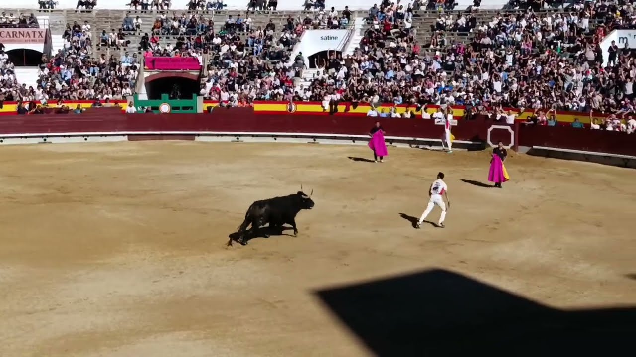 Recortes Castellón 2025: Primer Grupo Final 🐂