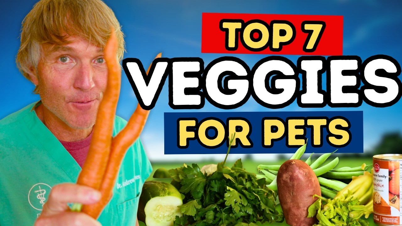 Top 7 Veggies to Boost Your Dog's Health 🥕