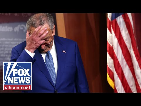 'Squad' Dems UNLEASH on Schumer