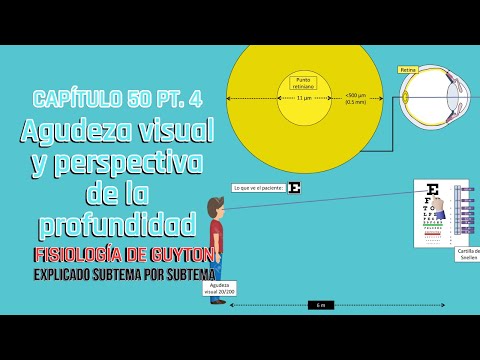CAP 50 4/5: Agudeza visual y perspectiva de la profundidad l Fisiología de Guyton
