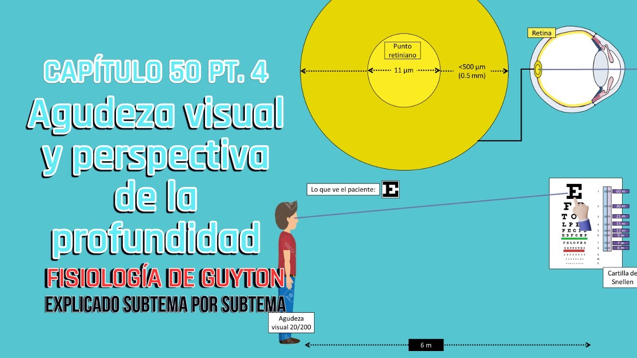 CAP 50 4/5: Agudeza Visual y Perspectiva de la Profundidad - Fisiología de Guyton