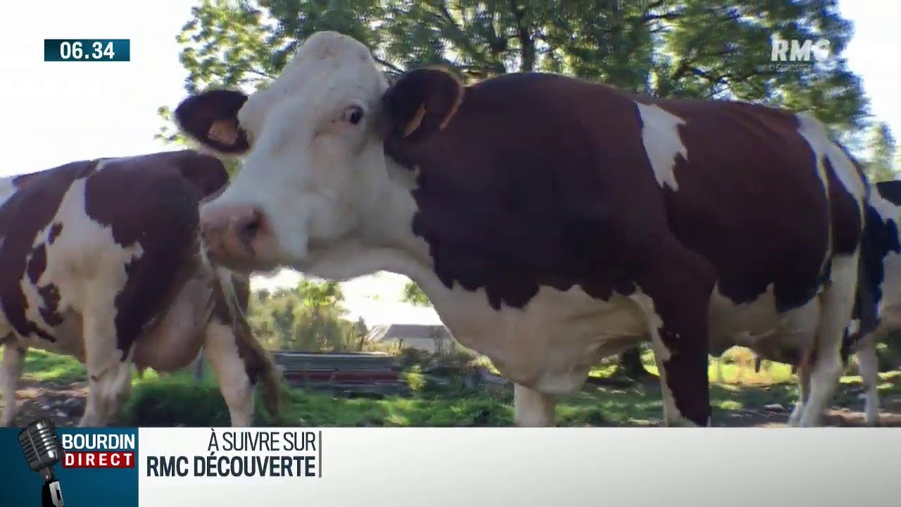 Loi Alimentation : Fin de la guerre des prix du lait 🥛